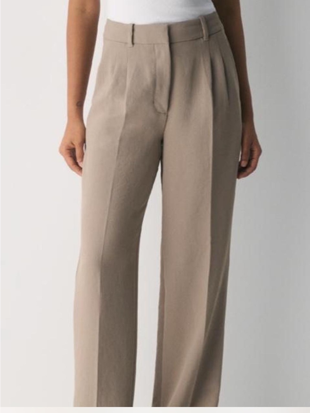 Aritzia Neutral Taupe Wide-Leg Tailored Trousers